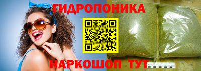 амф Кандалакша