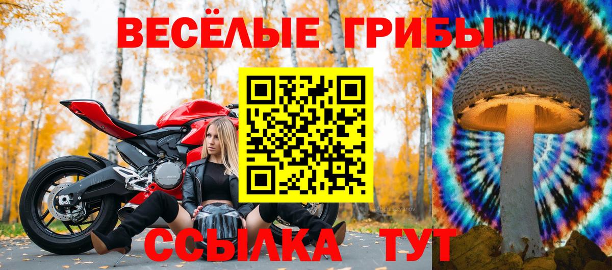 Галлюциногенные грибы MAGIC MUSHROOMS Кызыл