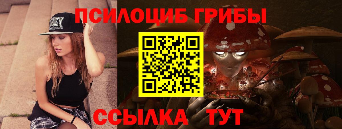 Кызыл  Псилоцибиновые грибы Psilocybe  Вход с VPN 